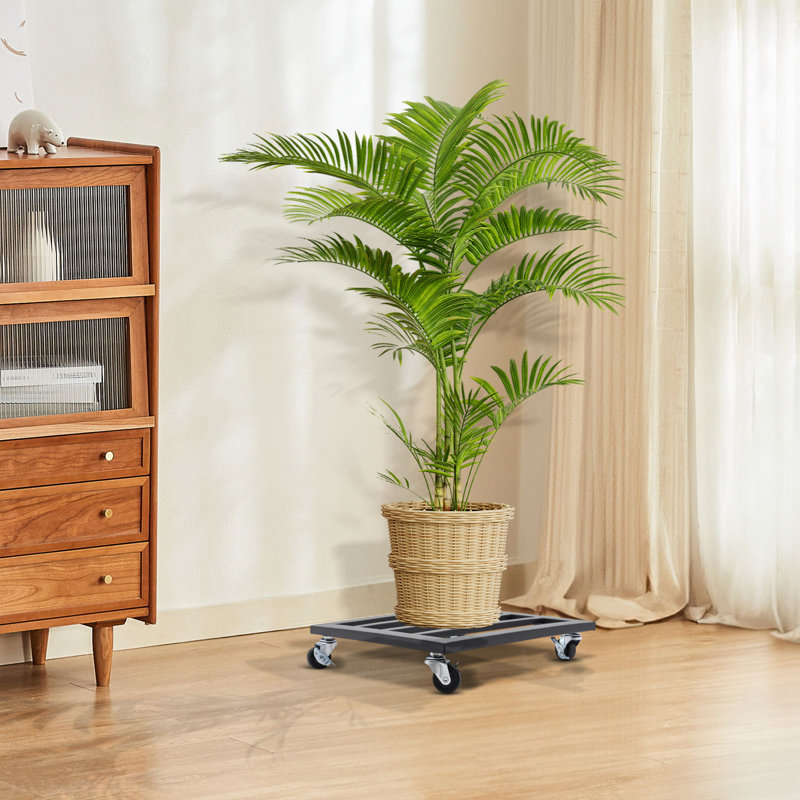 Plateau à plantes