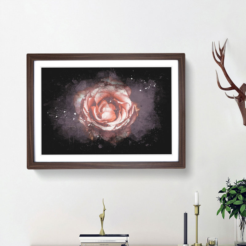Pink Tipped Rose Flower - Picture Frame Graphic Art Print, 24cm H x 33cm W x 2cm D, Walnut Framed