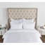 Arcadia Sham-87843289-88197045