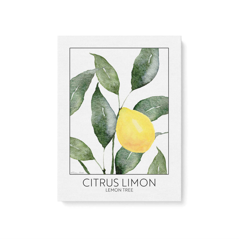 «Lemon Tree» par Susan Ball, reproduction d'art, Toile non encadrée, L 24 po x H 32 po, Ne s’applique pas
