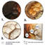 Brown Beige Abstract Redwood Tree Collage - Modern Wall Decor13-108658007-108658000
