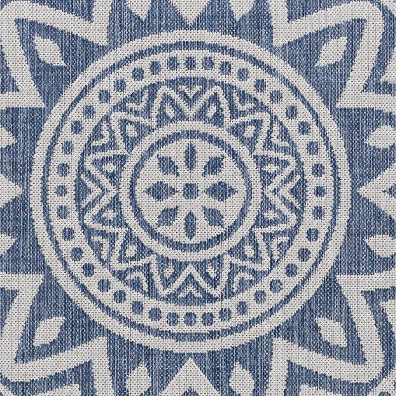 Oriental Indoor / Outdoor Rug, Rectangle 5'3" x 7'