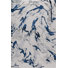 Blue/White
