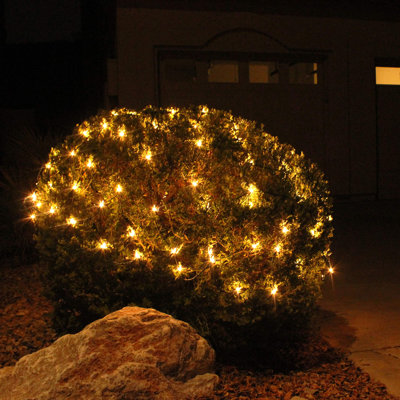 Ensemble de 2 lumières filet de Noël blanc chaud 100 pièces