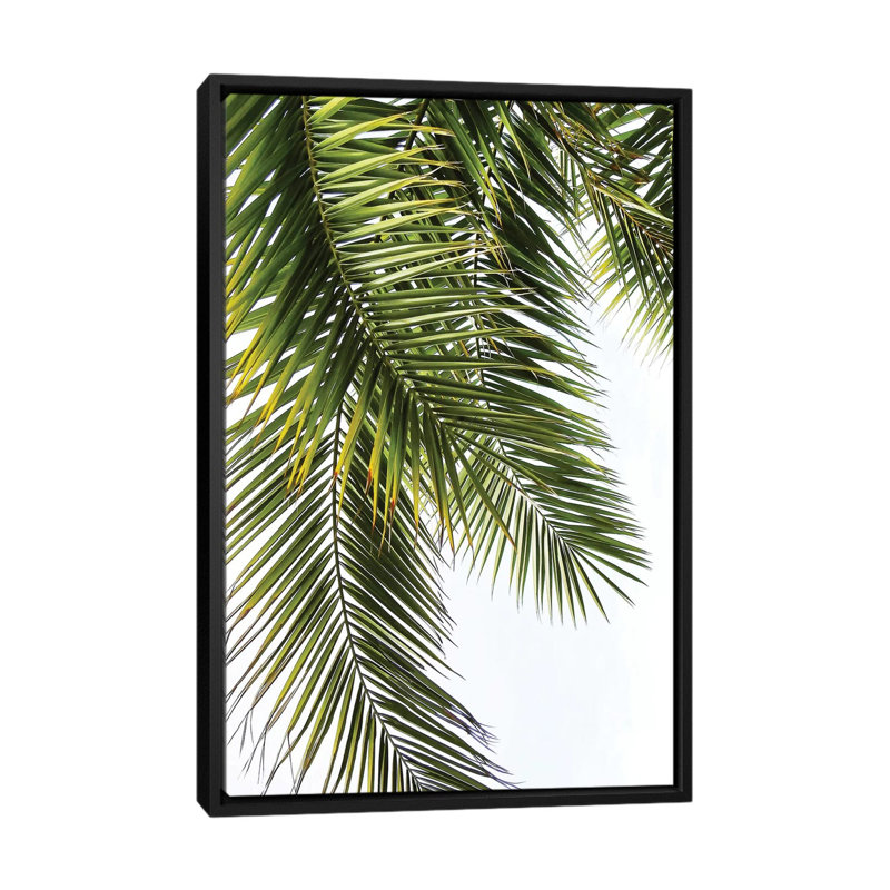 «Palm Leaves», impression sur toile, H 26 po x l 18 po x P 1,5 po, Toile encadrée noire