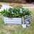 Metal Raised Garden Bed
