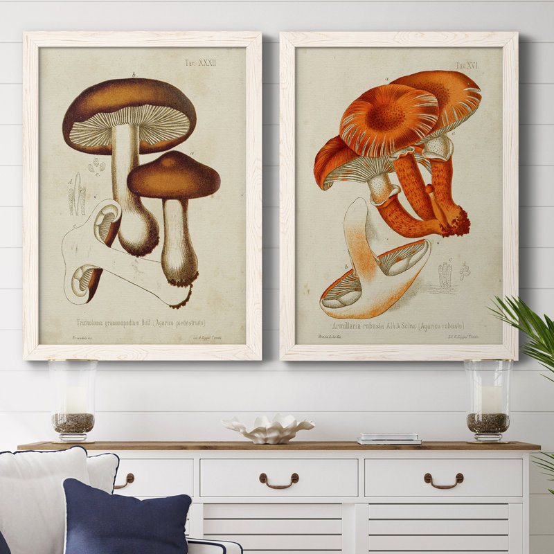 Toile encadrée de qualité supérieure Mushroom Variétés VI - prête à être accrochée, H 43,5 po x l 31,5 po x P 1 po