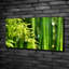 Bamboo - No Frame Print on Canvas