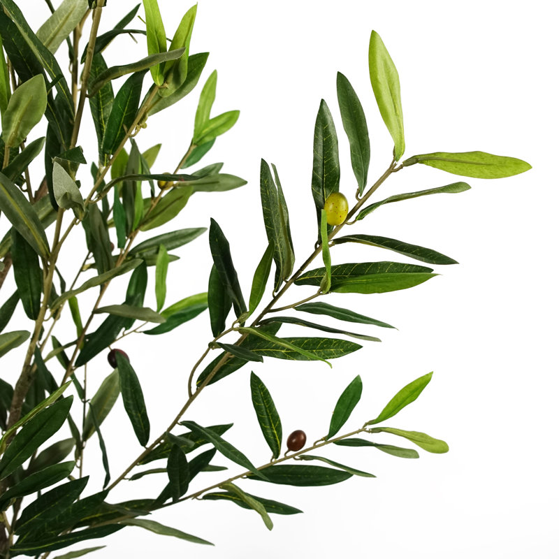 Anlin 170cm Faux Olive Tree in Pot