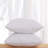 Pillow Insert-49165655