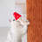 4 Tiers Cat Tree with Condons,Perch,Scratching Posts