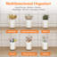 Flatware & Kitchen Utensil Organiser