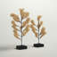 Ensemble de 2 sculptures en bois Petrarch