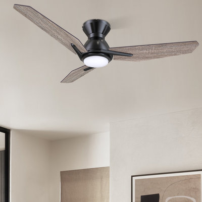 Elegis 44'' Ceiling Fan with LED Lights