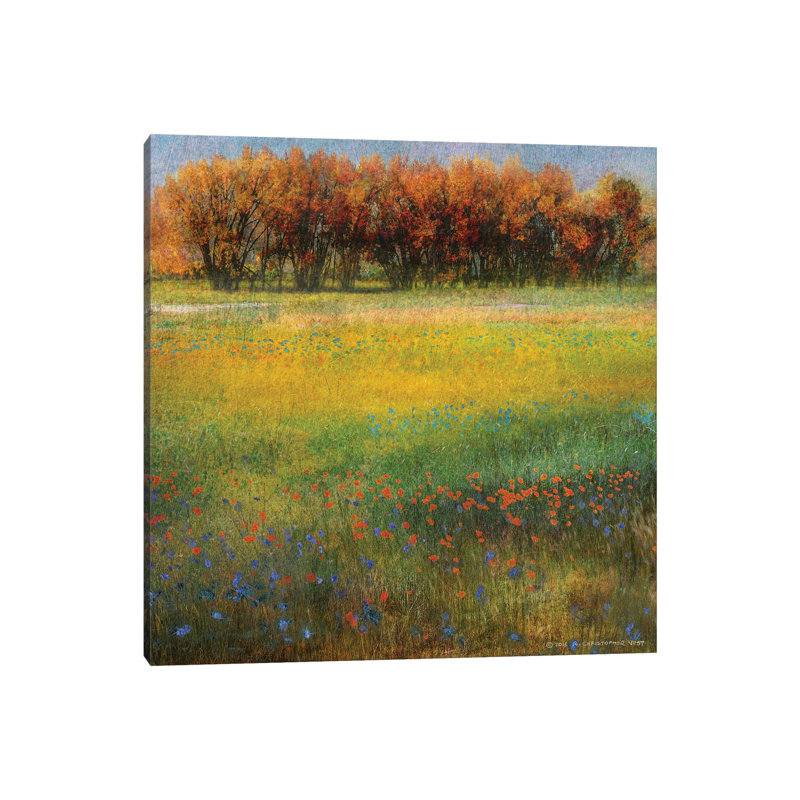 Meadow Flowers II by Christopher Vest - Wrapped Canvas Gallery-Wrapped Canvas Giclée, 66.04 cm H x 66.04 cm W x 1.91 cm D