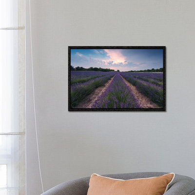 Lavender Paradise by Stefan Hefele - Floater Frame Gallery-Wrapped Canvas Giclée on Canvas