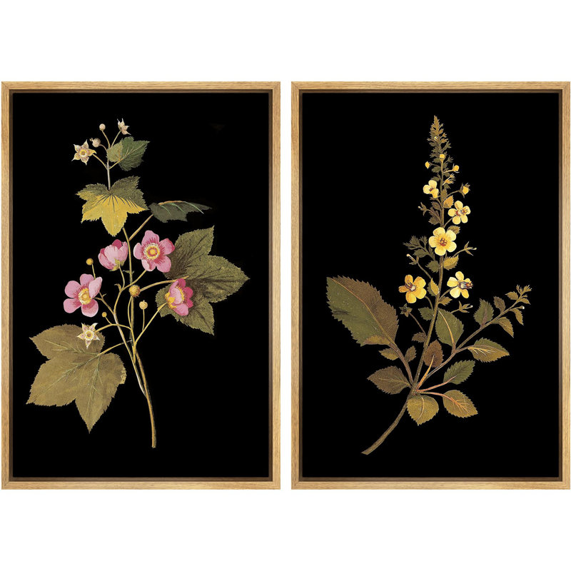 Élégance botanique, floral sur fond noir, nature, illustrations, décor, H 24 po x l 16 po, Naturel