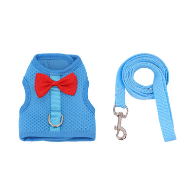 Ensemble de harnais et de lapin Rabbit