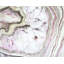 Ensemble de 4 napperons en polyester tressé - Agate Home Decor