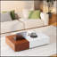 Table basse de style moderne avec deux espaces de rangement-1383107571