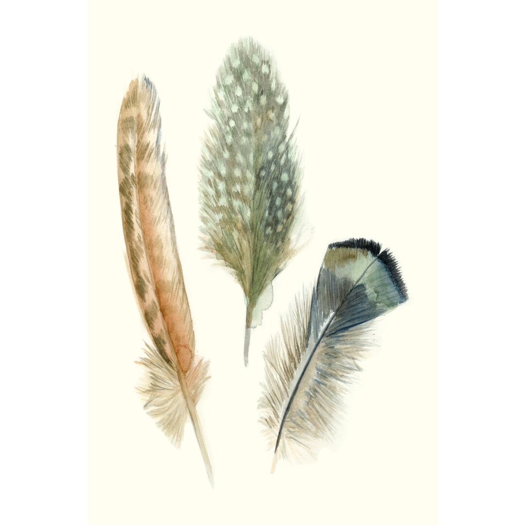 Leinwandbild Watercolor Feathers I von Megan Meagher