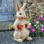 Carotene the Rabbit Garden Statue