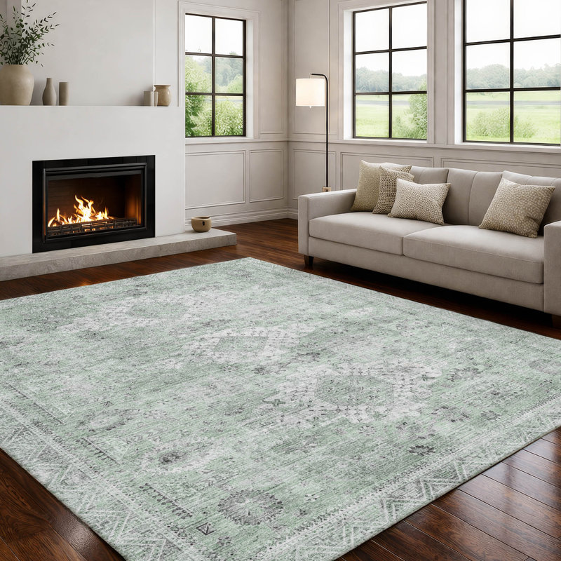 Machine Washable Indoor/Outdoor Chantille ACN2809 Global Rug, Mint, 5' x 7'6"