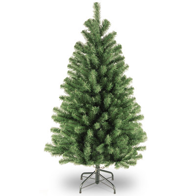  North Valley Spruce Tree