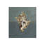 Seashell D Print by Sarah Atkinson-26931706