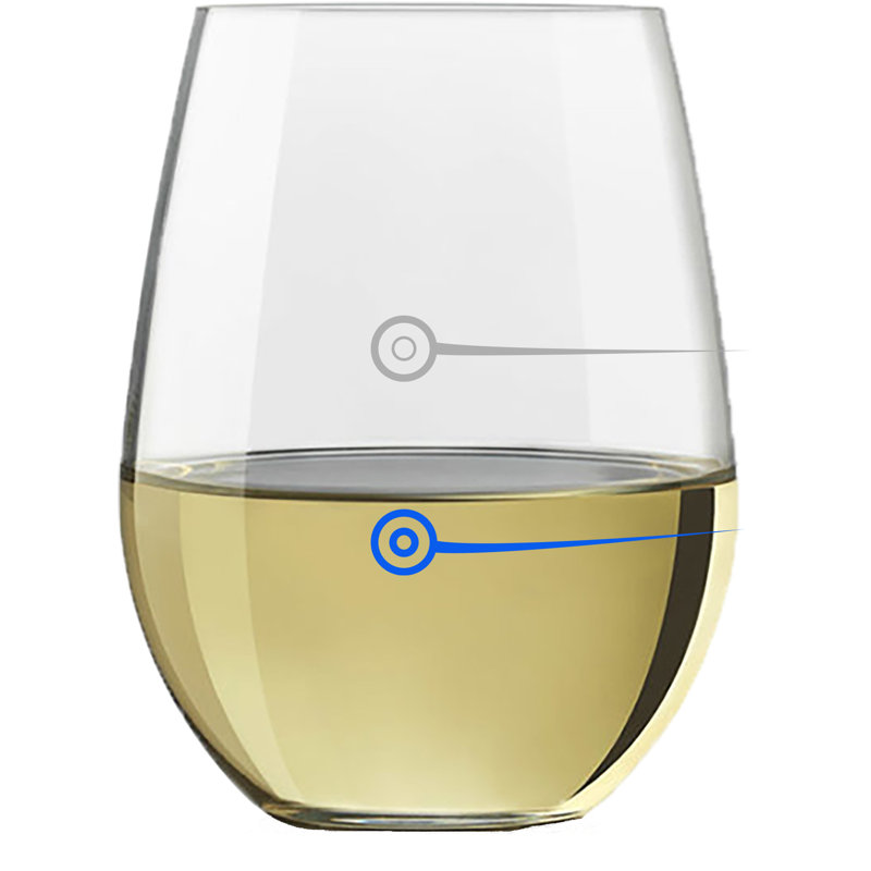Dhivya 15oz. Stemless Wine Glass