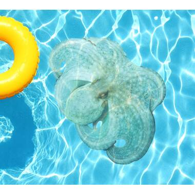 Rhino Pad® for 28' Round Swimming Pools 