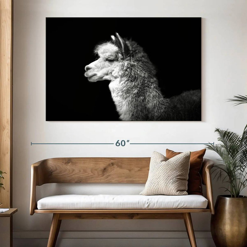 Brampt Noir Llama, 34" H x 51" W