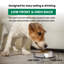 Bol simple pour animaux Easy Back-13945733