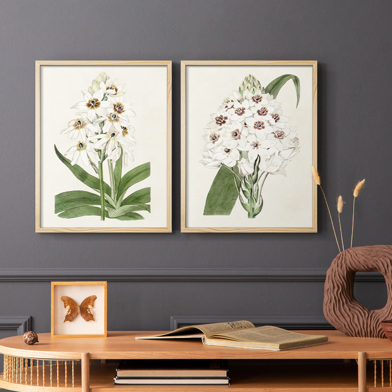 Impression encadrée Flore Albo I-Premium - prête à être accrochée - aucun clou requis - aucun clou requis, H 11 po x l 18 po