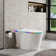 Smart Bidet Toilets, Auto Flush Heated Seat Warm Wash Dry Remote Control