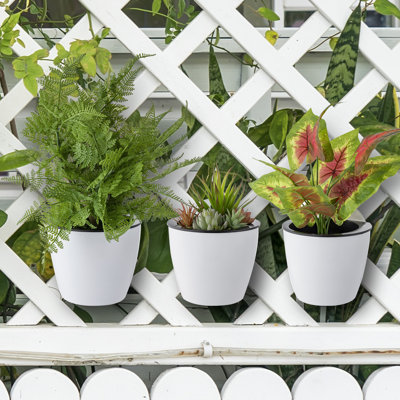 Self-Watering Wall Planter