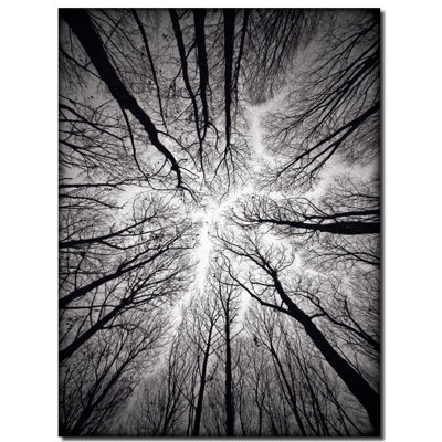 Plafond - impression d'art graphique