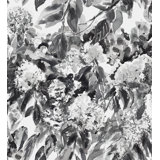 Hydrangea Garden
