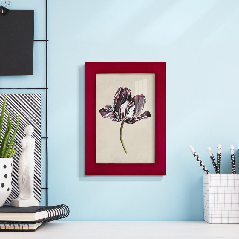 Antique Tulip Study I, reproduction d'art encadrée, Rouge, H 6 po x l 4 po x P 1 po