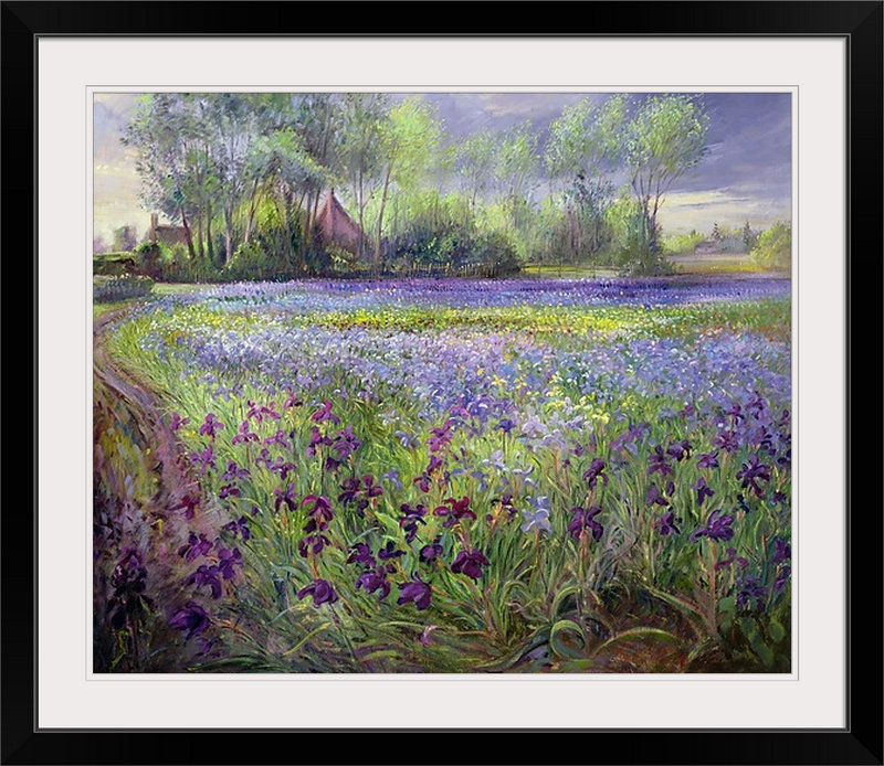 Murguia Modern & Contemporary Ophelia & Co. 