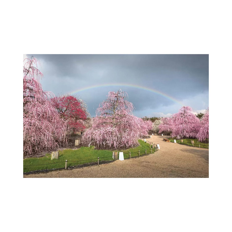 Spring In Japan XIX by Daisuke Uematsu - Print on Canvas, Wrapped Canvas, 45.72cm H x 66.04cm W x 1.91cm D