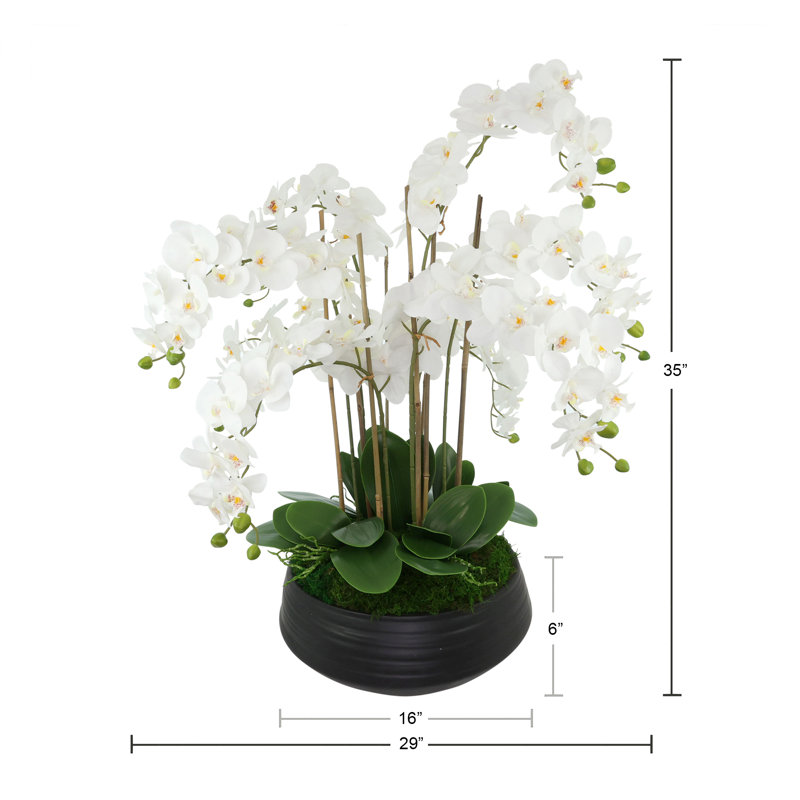 Orchid Centerpiece in Ceramic Pot, White