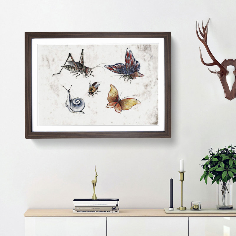 Insects Vol.1 by Katsushika Hokusai - Framed Print, 27cm H x 36cm W x 2cm D, Walnut Framed