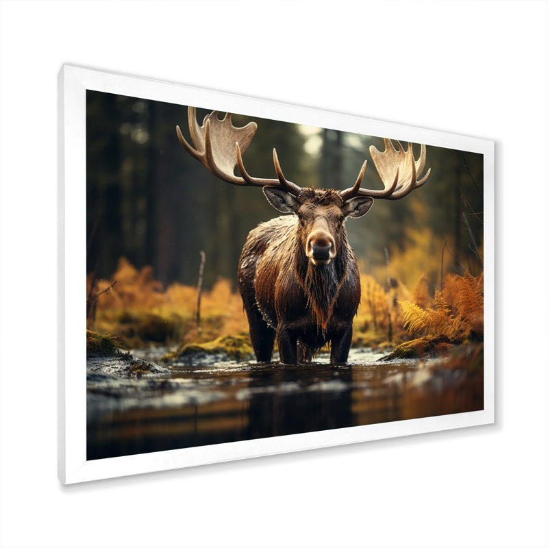 «Canada Majestic Moose III», art mural Canada large, Cadre simple blanc, H 16 po x l 32 po x P 1 po