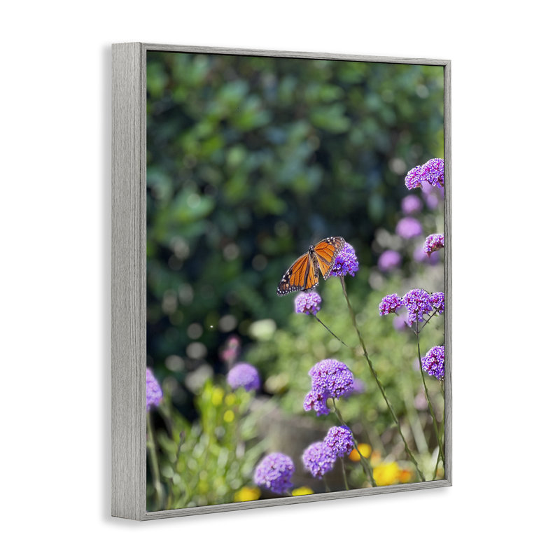 «Butterfly in Meadow», estampe numérique par Kali Wilson, Estampe numérique Farmhouse, H 14 po x l 11 po