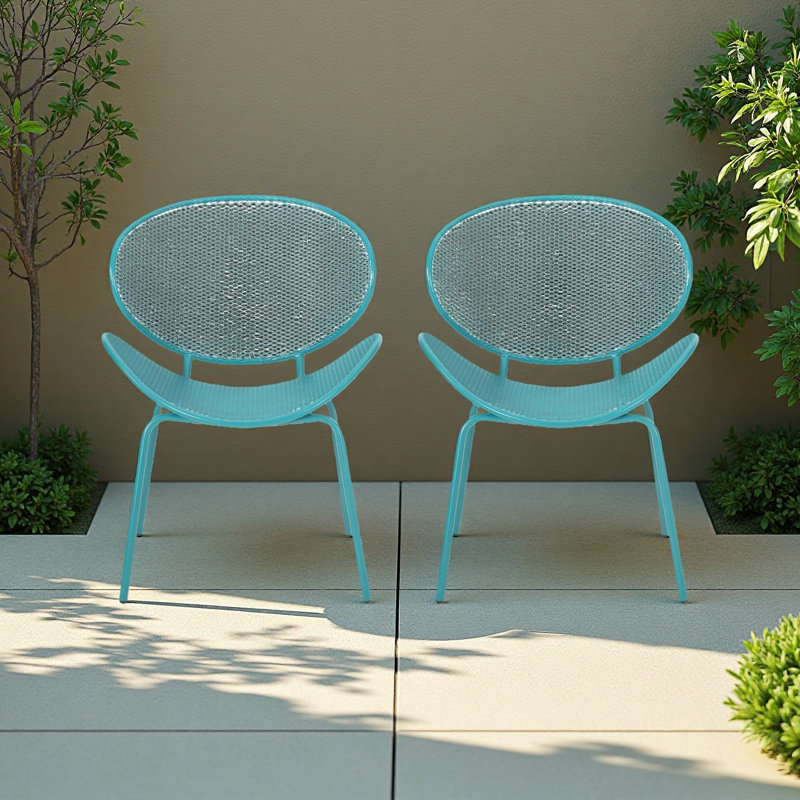 Chaise coquille, Sarcelle