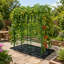 Support de vigne d'escalade en métal de type A avec filet d'escalade, support de jardin extérieur pour diverses plantes grimpantes