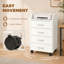 4-Drawer File Cabinet with Lockable Wheels, White