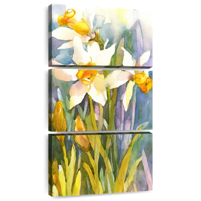 The Narcissus
