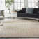 Moritz Ikat Indoor Rug